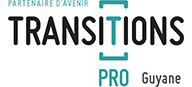 TRANSITION PRO